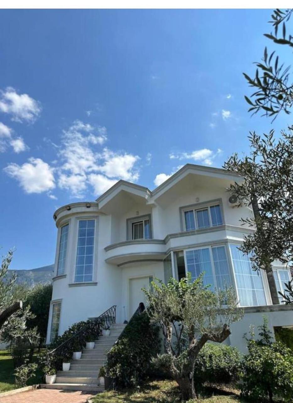 Kino Apartment Tirana Zewnętrze zdjęcie